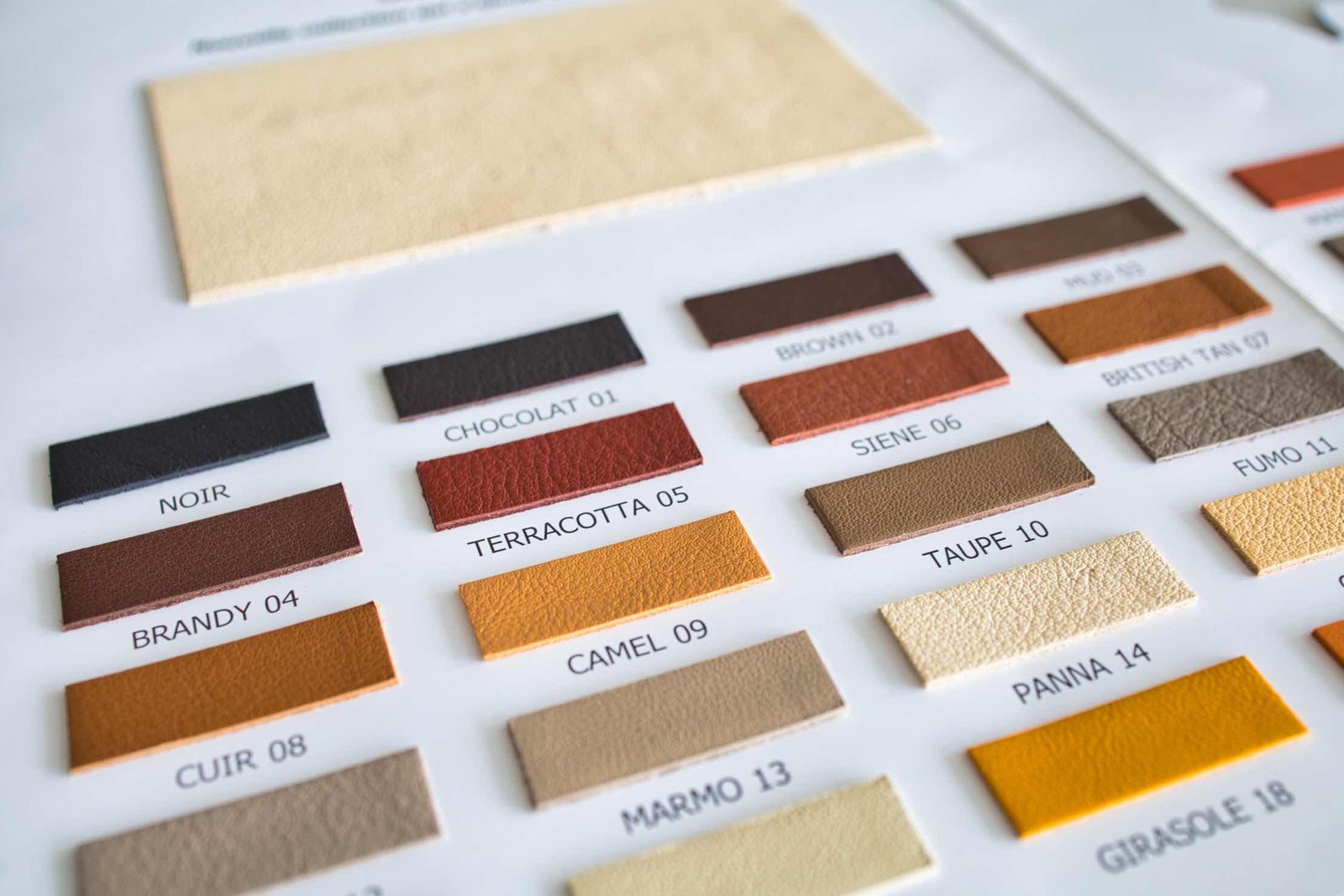 Leather colour swatch board — Noir, Chocolat, Terracotta, Camel, Taupe and more